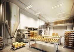 Ct Foodnex (D25), Factory #553908851